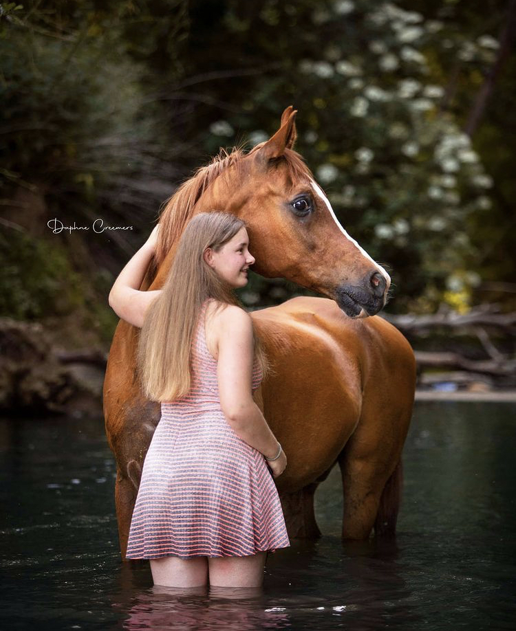 Paarden foto 1