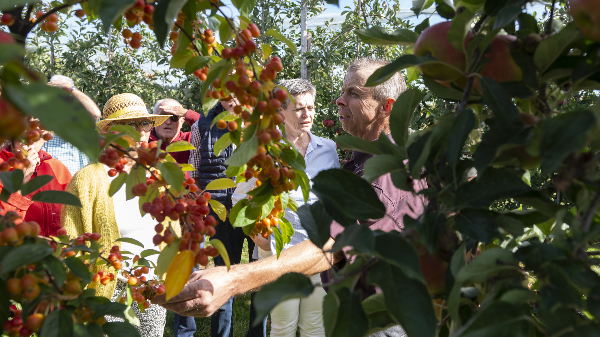 Rondleiding door de boomgaard foto 1